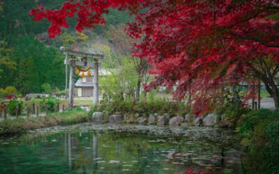 The Therapeutic Power of Japanese Gardens in Shiatsu Practice