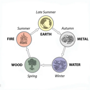 5 Elements, Fire, Earth, Metal, Wood, Water
