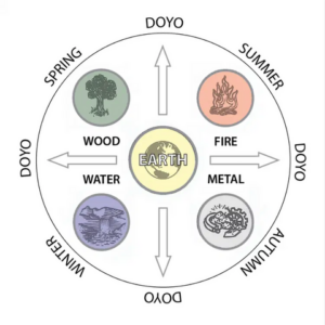 5 elements, Fire, Earth, Metal, Water, Wood