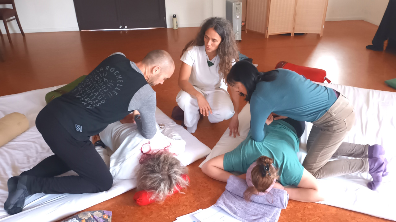 Group learning at shiatsu winter retreat 2024