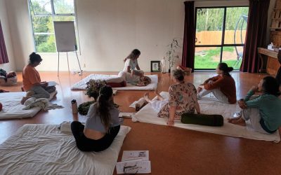 Spring Shiatsu Retreat Report: A Journey of Growth and Connection